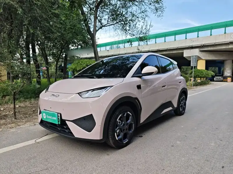 BYD Seagull, 2025