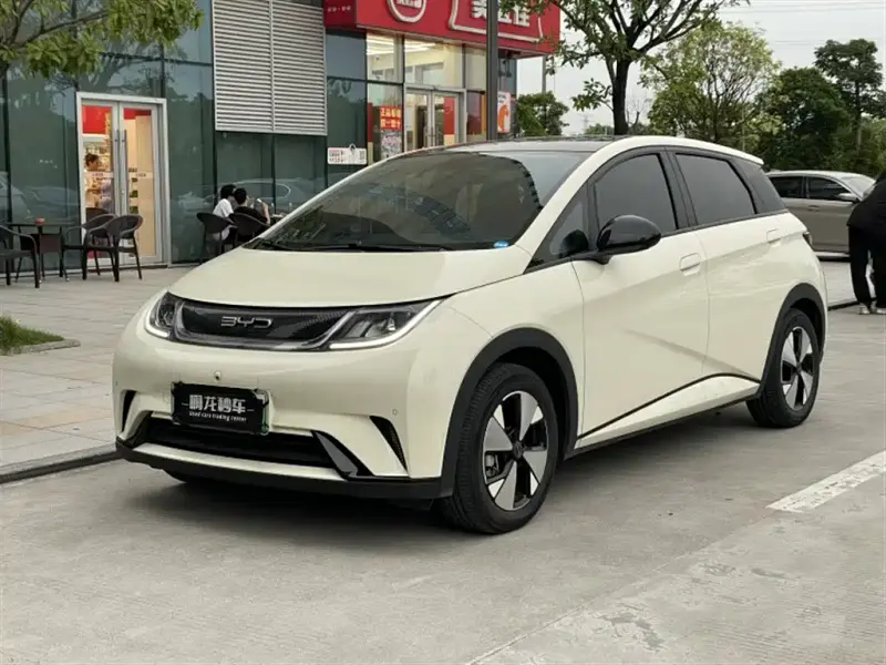 BYD Dolphin, 2023