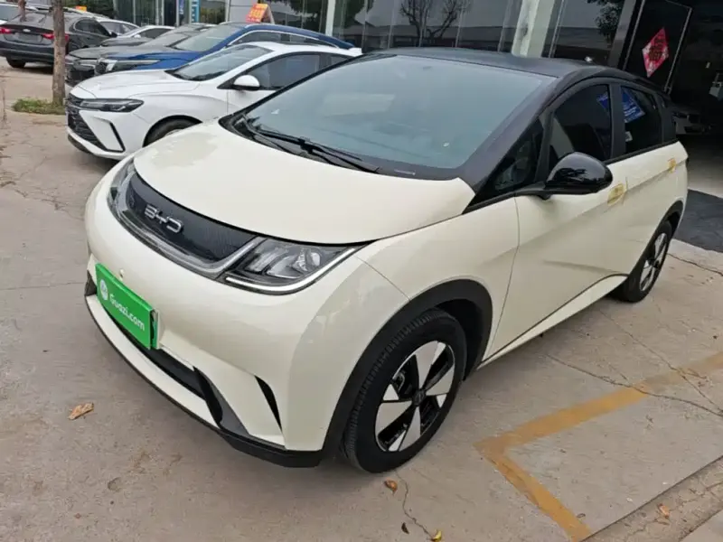 BYD Dolphin, 2024