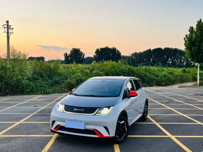 BYD Dolphin, 2022