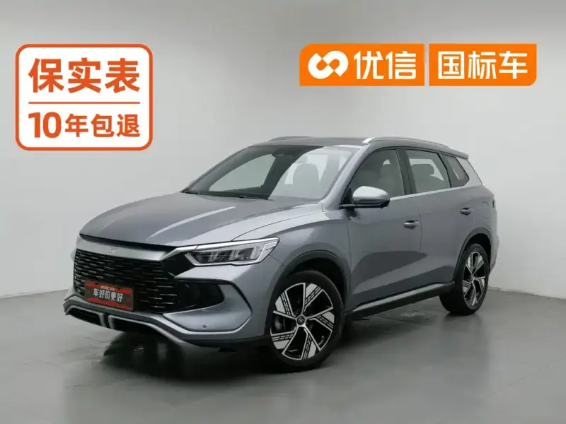 BYD Pro New Energy, 2024