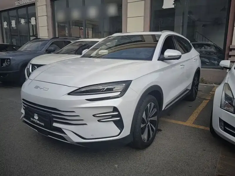 BYD PLUS New Energy, 2024