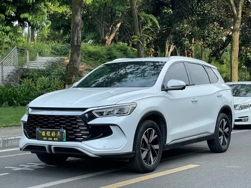 BYD Pro New Energy, 2024