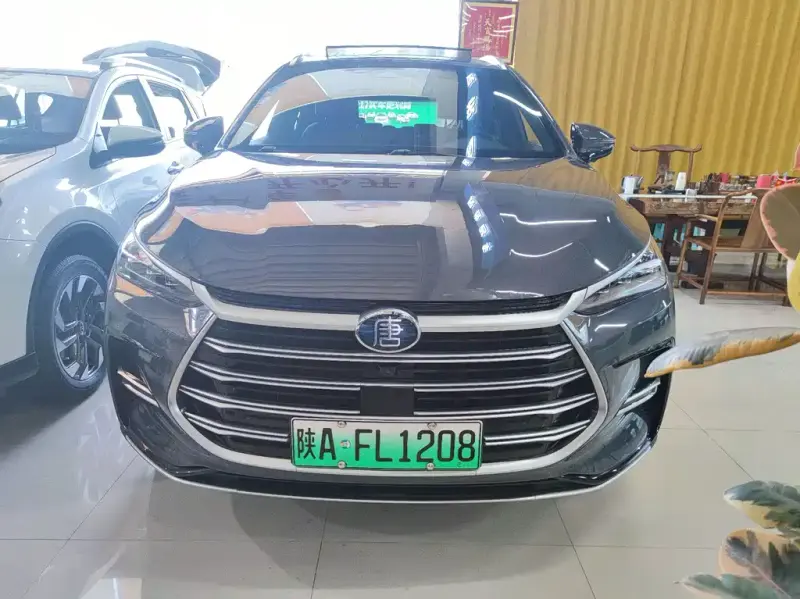 BYD Tang New Energy, 2023