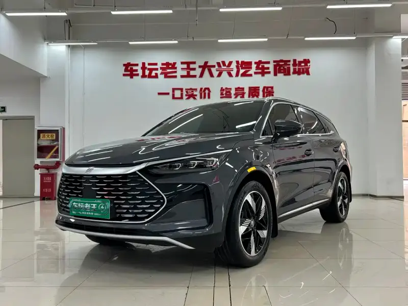 BYD Tang New Energy, 2024