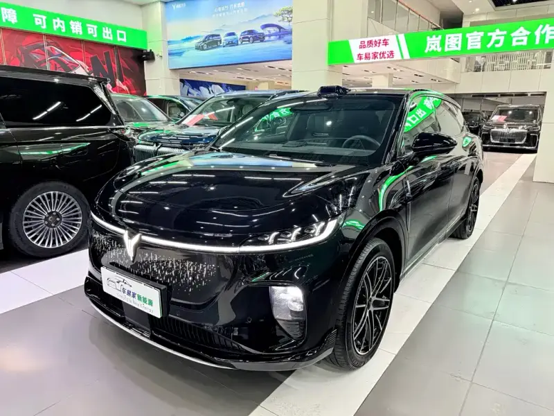 VOYAH Zhiyin, 2025