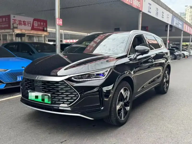 BYD Tang New Energy, 2024