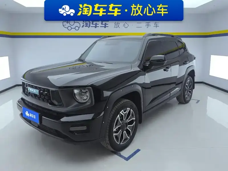 Haval PLUS, 2024