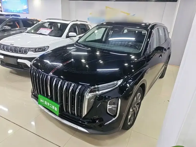 Hongqi HS7 PHEV, 2024