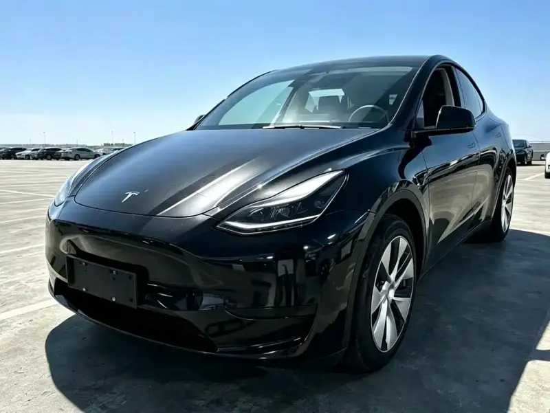 Tesla Model Y, 2022