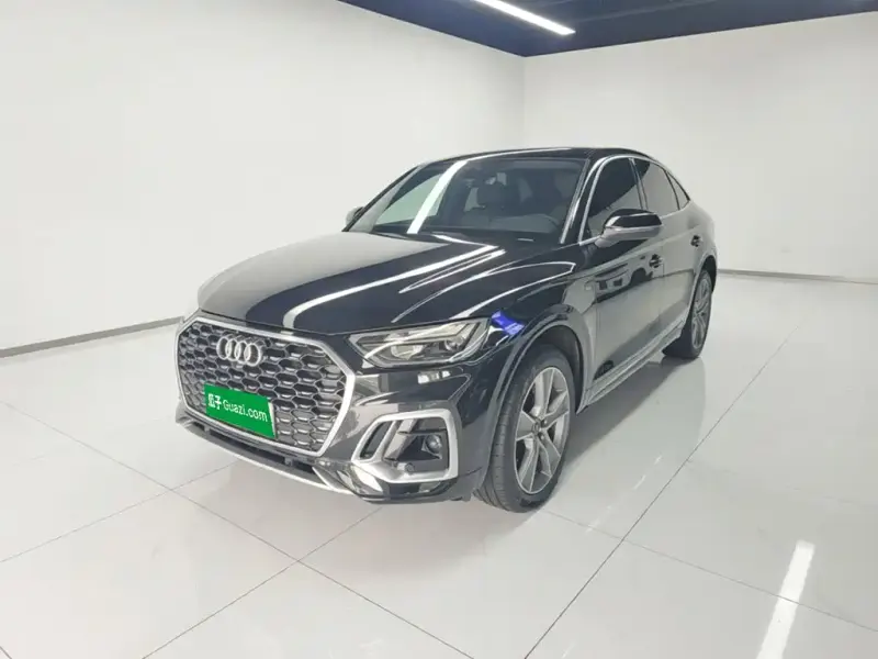 Audi Q5L Sportback Audi Q5L Sportback 2022 Facelift 40 TFSI Luxury Type, 2022 — фото 1