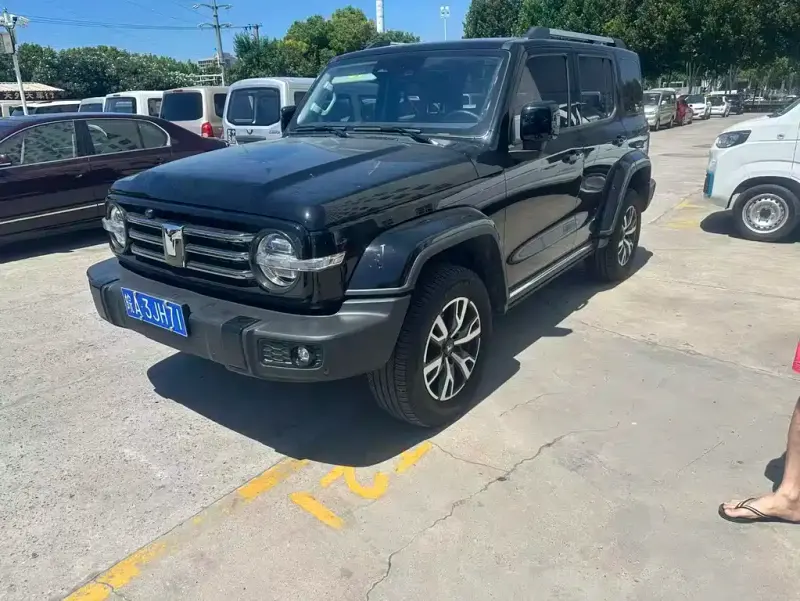 Tank 300 Tank 300 2024 2.0T Cross, 2024 — фото 1