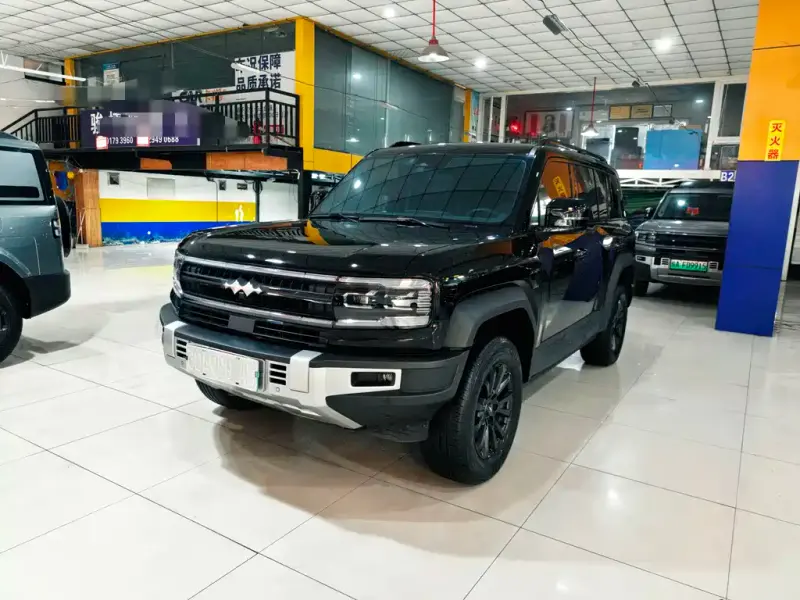 Fang Cheng Bao Leopard 5, 2024