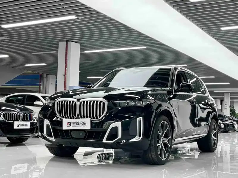 BMW X5 BMW X5 2023 xDrive 30Li Premium Type M Sport Package, 2025 — фото 1