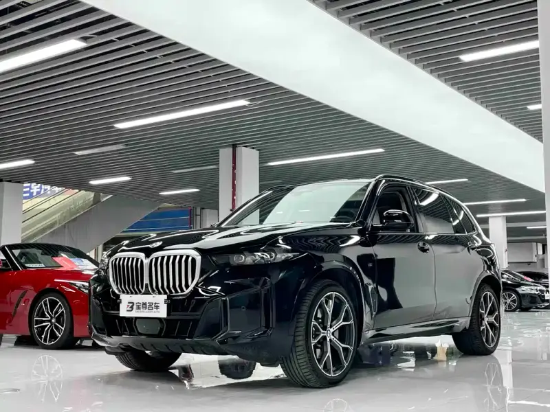 BMW X5 BMW X5 2023 xDrive 30Li Premium Type M Sport Night Package, 2024 — фото 1