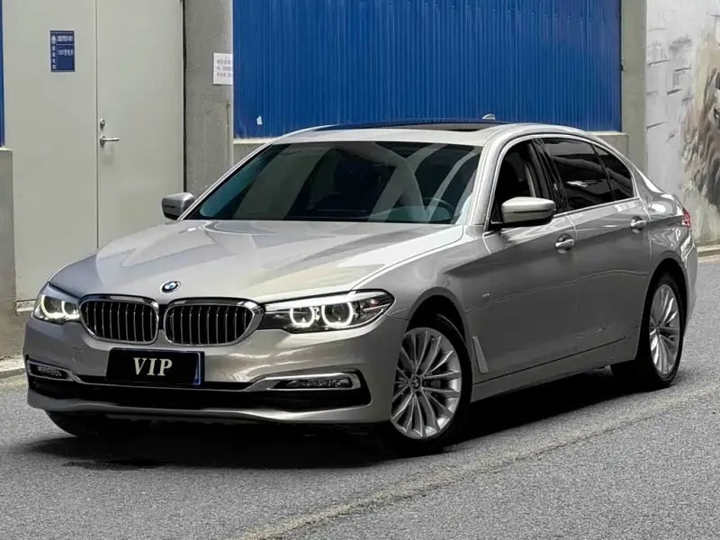 BMW 5 Series BMW 5 Series 2018 530Li xDrive Luxury Package, 2018 — фото 1