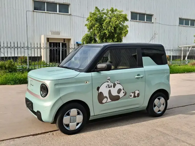 Galaxy Panda, 2023