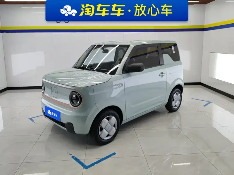 Galaxy Panda, 2024