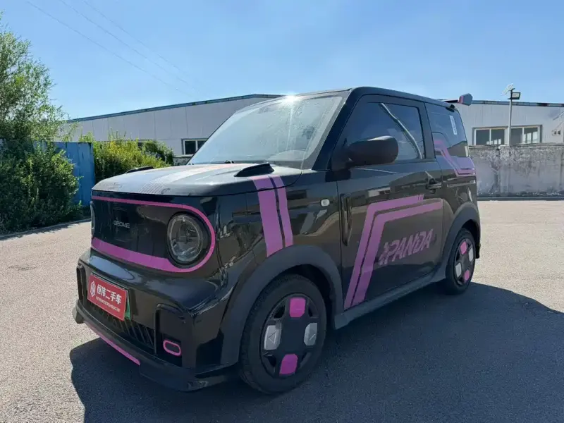 Galaxy Panda, 2024