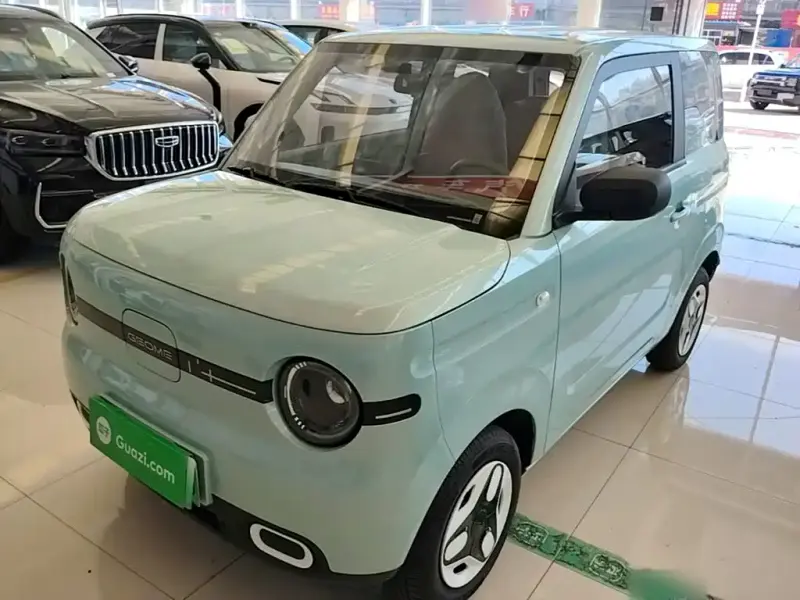 Galaxy Panda, 2025