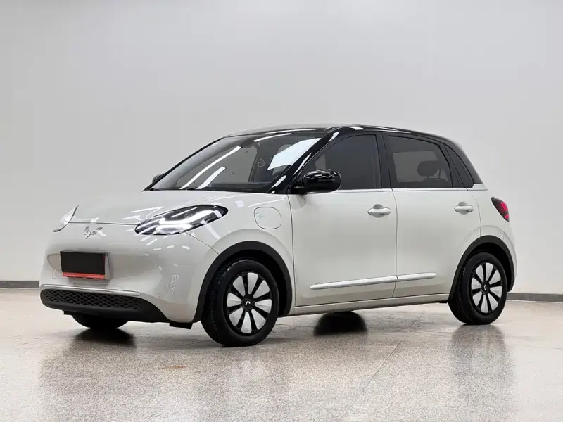 Wuling Bingo, 2024