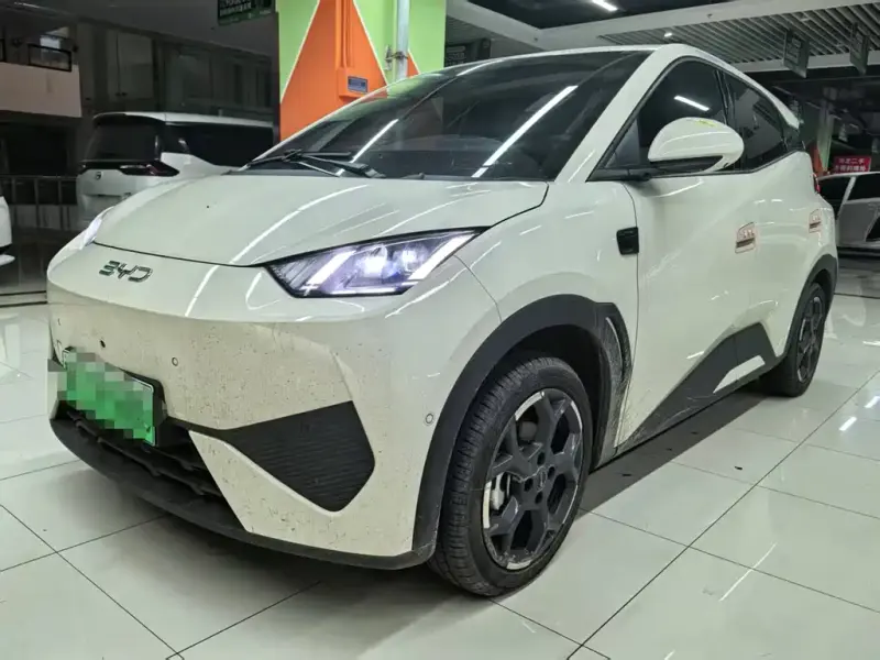 BYD Seagull, 2025