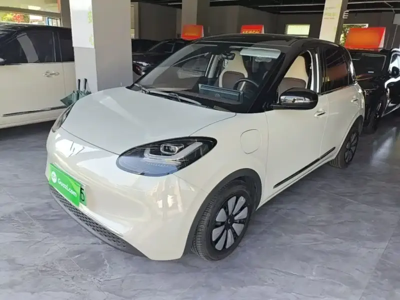 Wuling Bingo, 2023