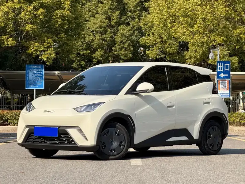 BYD Seagull, 2024