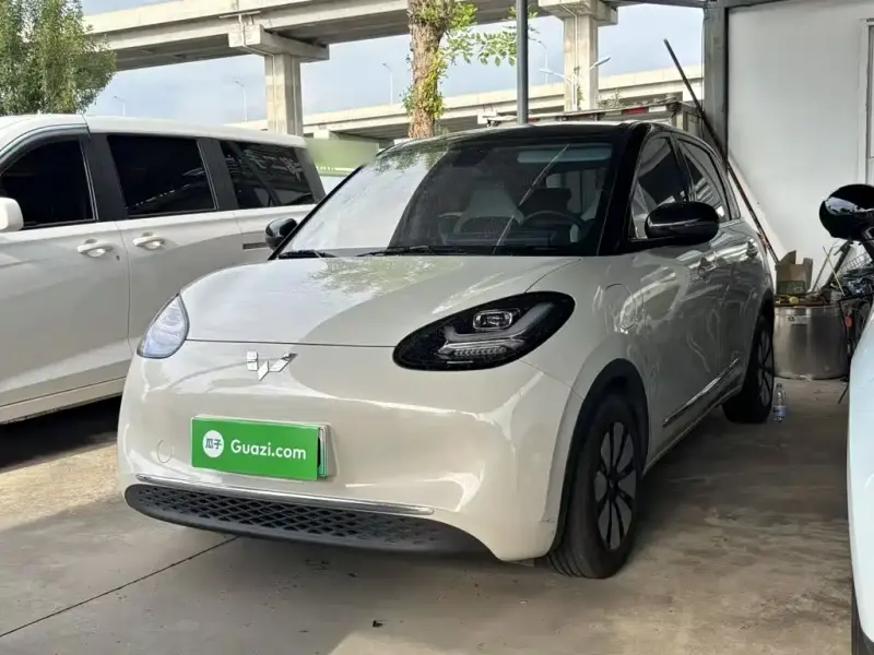 Wuling Bingo, 2024