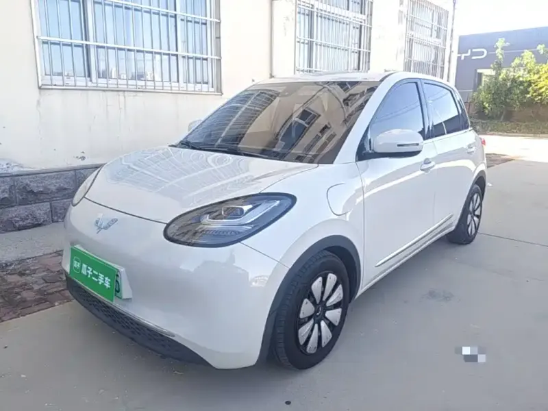 Wuling Bingo, 2024