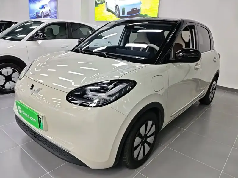 Wuling Bingo, 2023