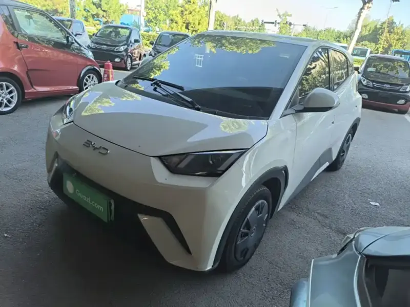 BYD Seagull, 2024