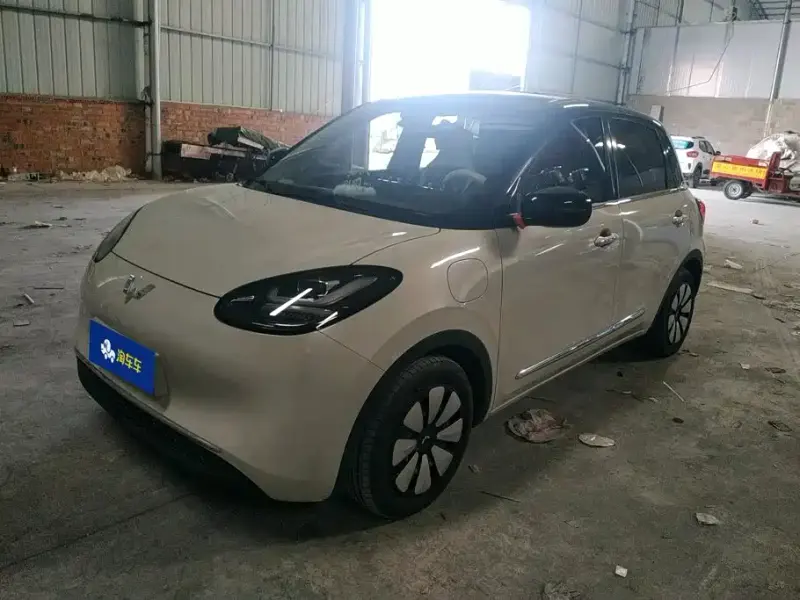 Wuling Bingo, 2024