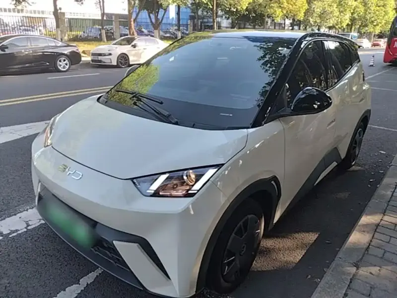 BYD Seagull, 2024