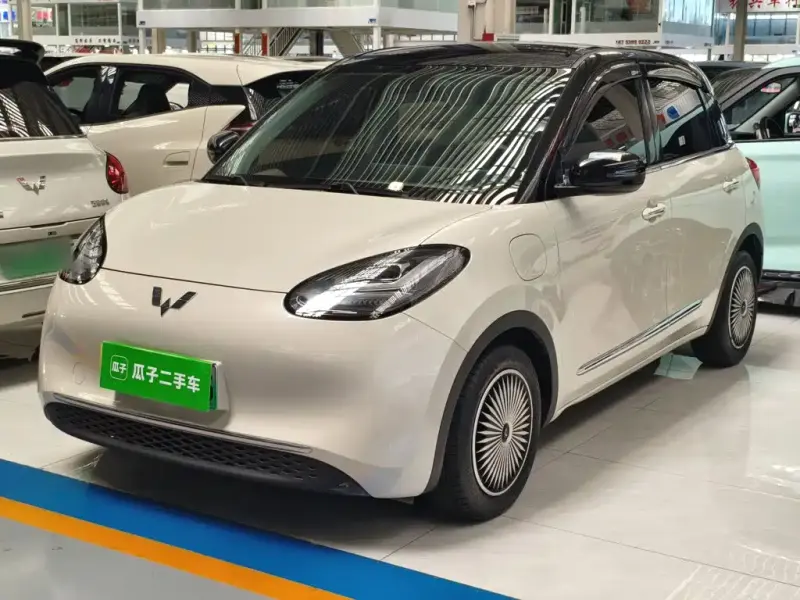 Wuling Bingo, 2024