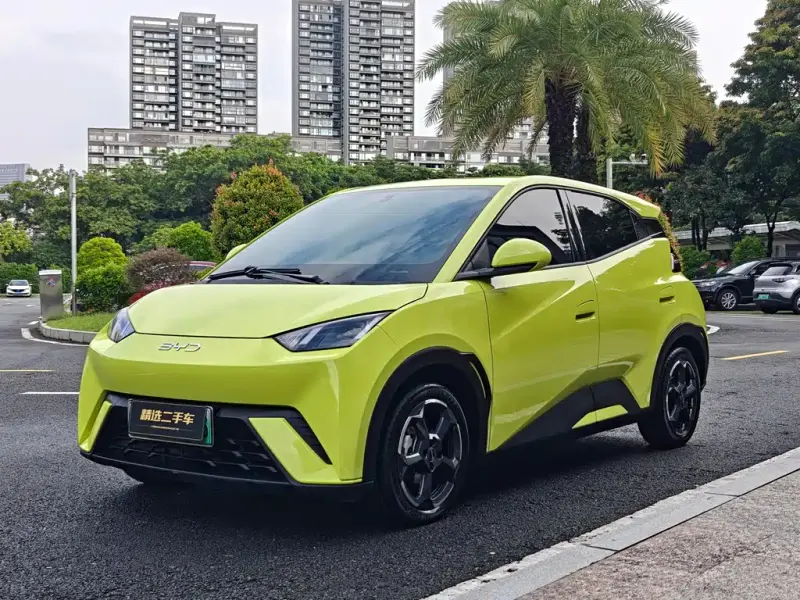 BYD Seagull, 2023