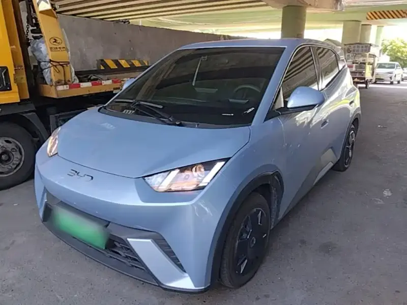 BYD Seagull, 2024
