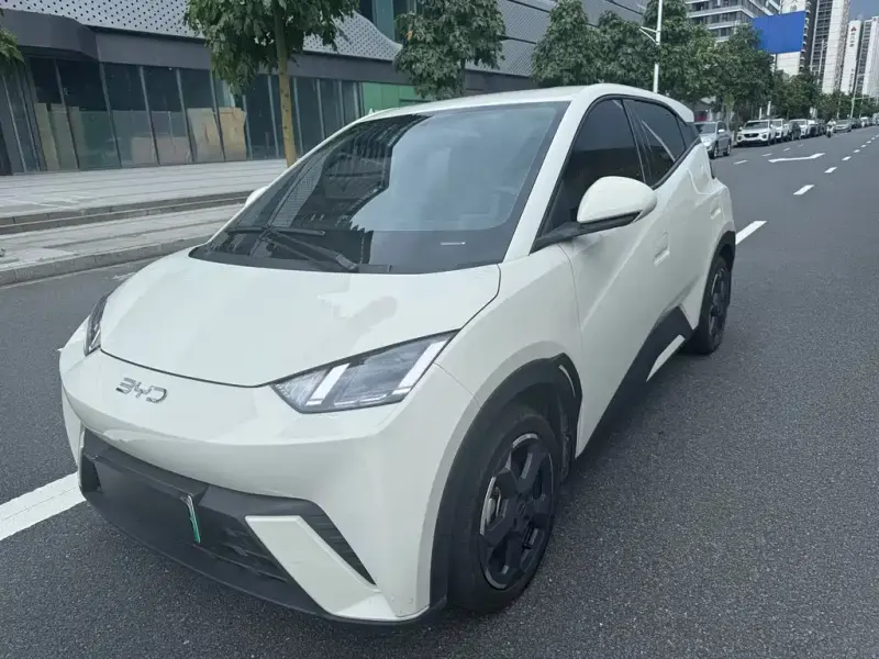 BYD Seagull, 2024