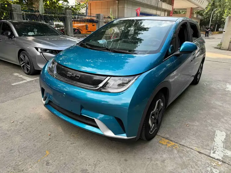 BYD Dolphin, 2022