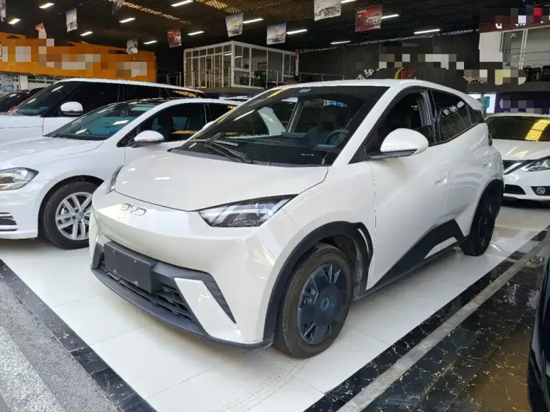 BYD Seagull, 2024