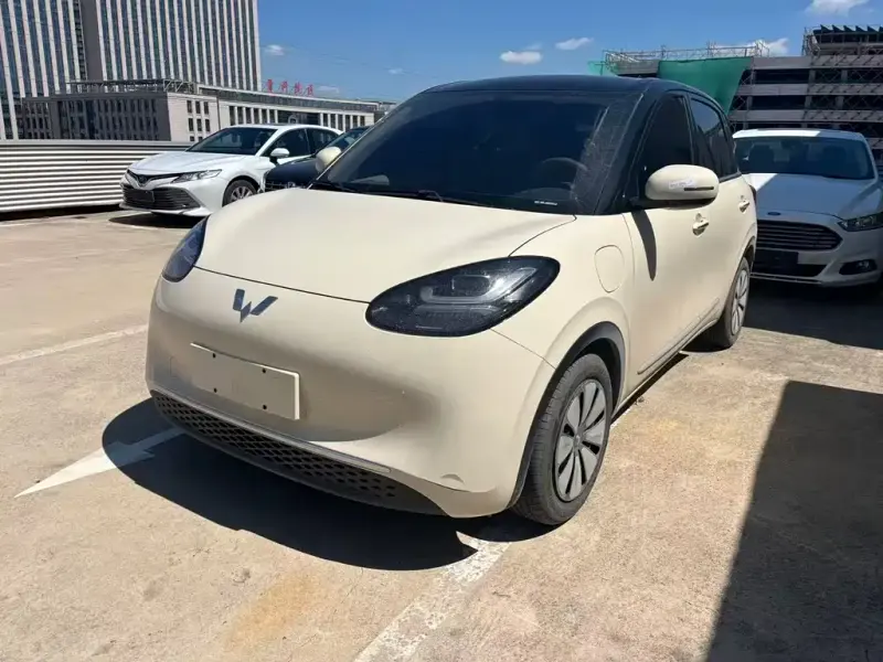Wuling Bingo, 2025