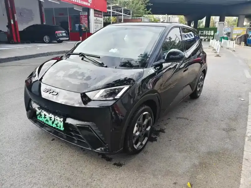 BYD Seagull, 2025