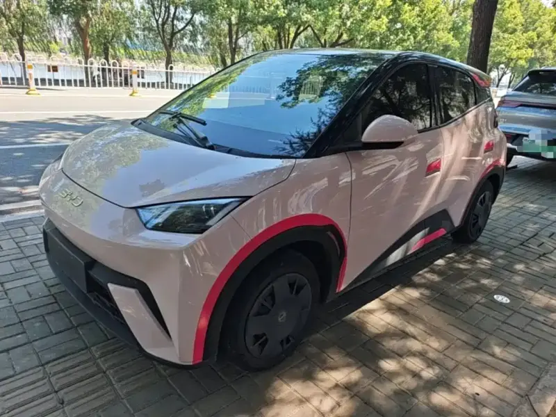 BYD Seagull, 2024