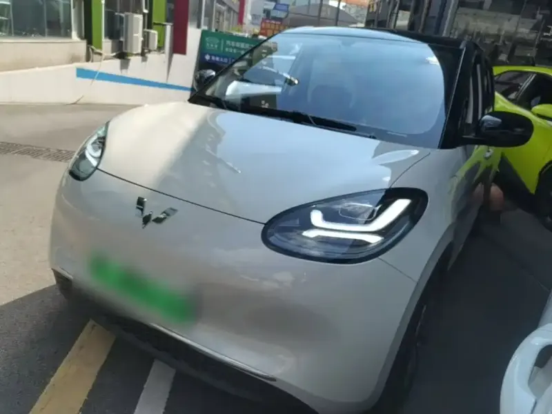 Wuling Bingo, 2025