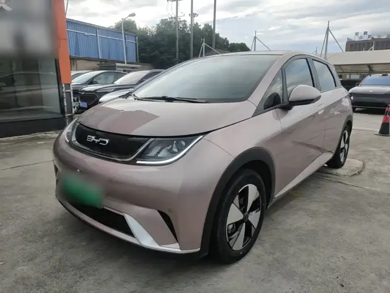 BYD Dolphin, 2024