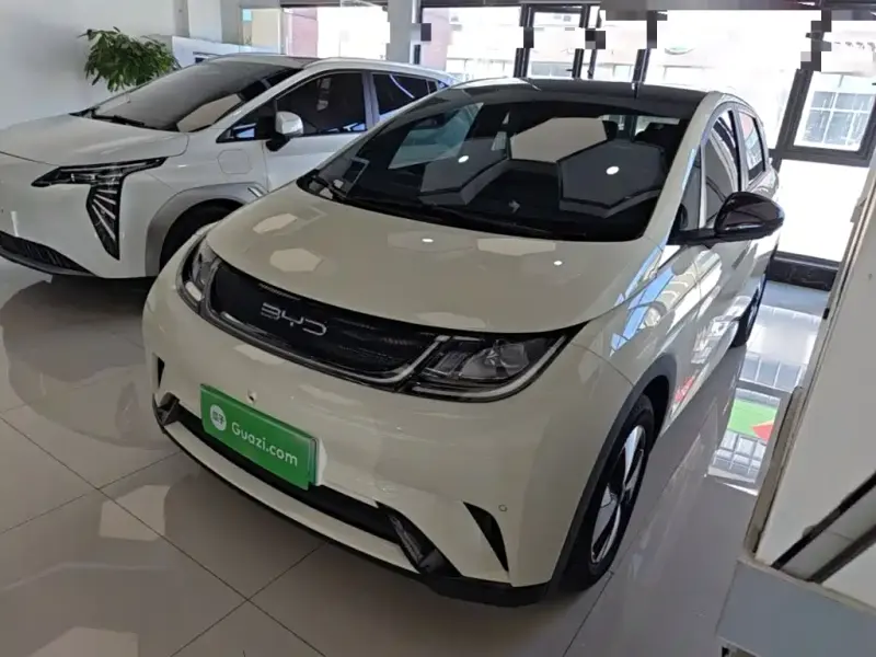 BYD Dolphin, 2023