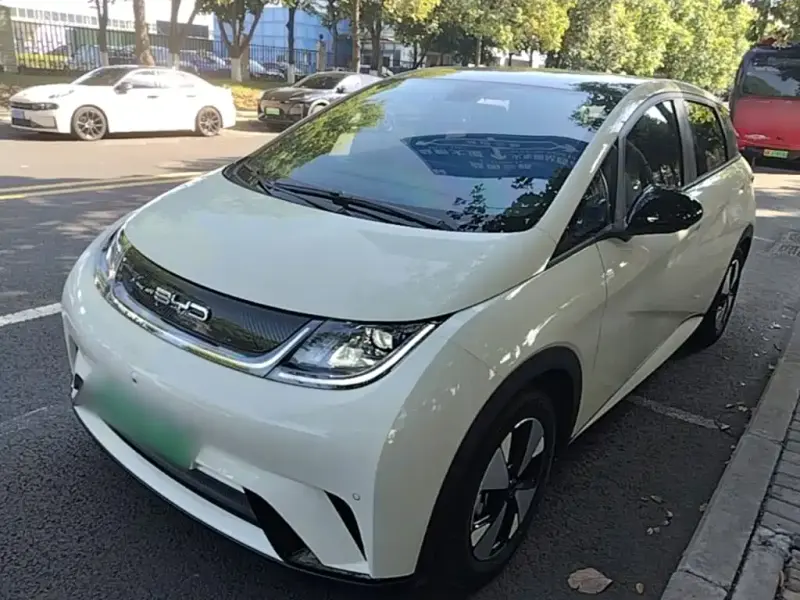 BYD Dolphin, 2023