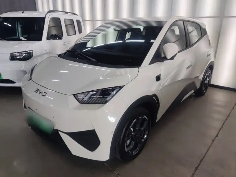 BYD Seagull, 2025