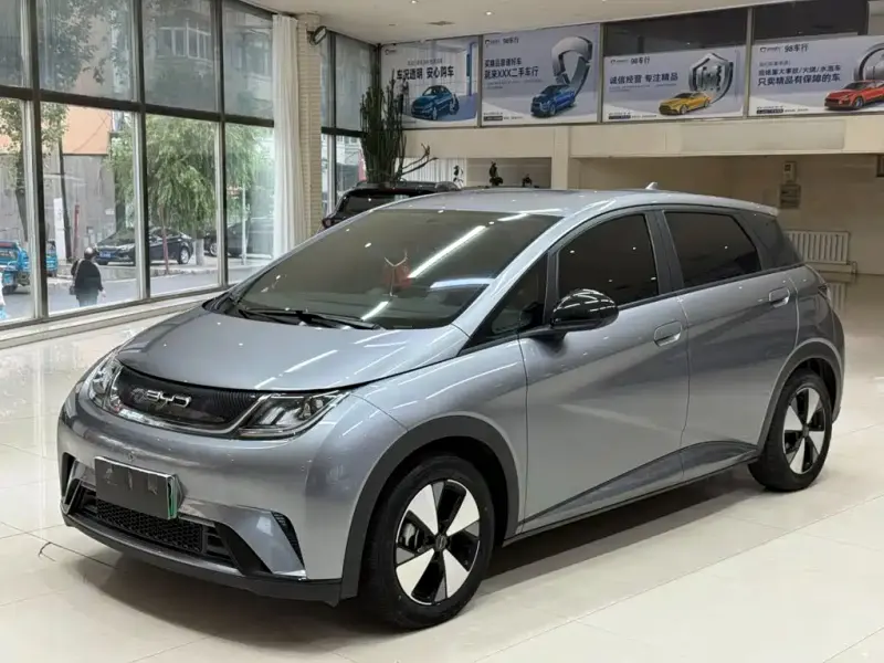 BYD Dolphin, 2023