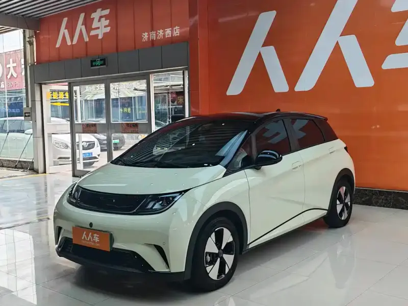 BYD Dolphin, 2024